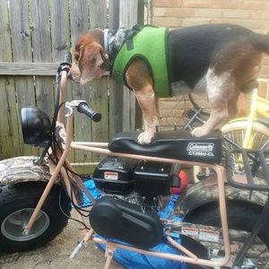 Meet your Posher, Marcy